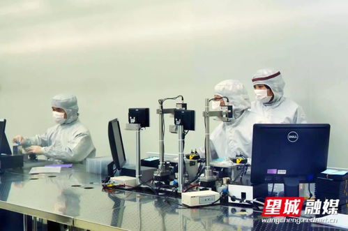 长沙加快经济社会秩序恢复 咨询服务业助力高质量发展